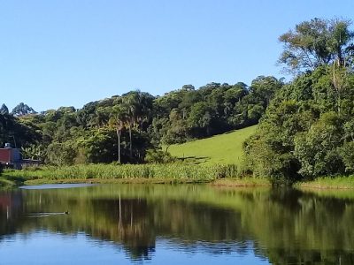 Lago 1